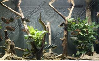 Photo of Mixed Textures